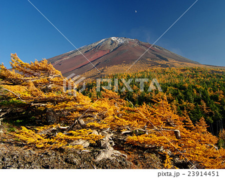 奥庭の秋富士 23914451