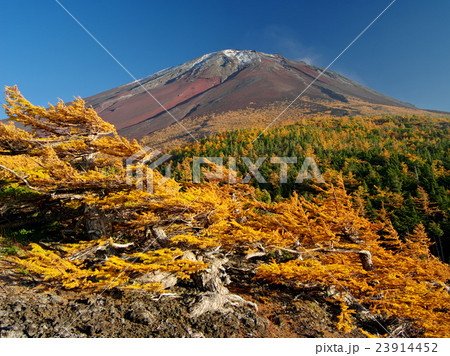 奥庭の秋富士 23914452