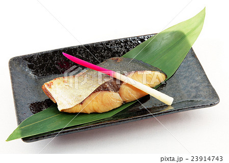 鰤の西京焼き 鰤の西京焼き 23914743