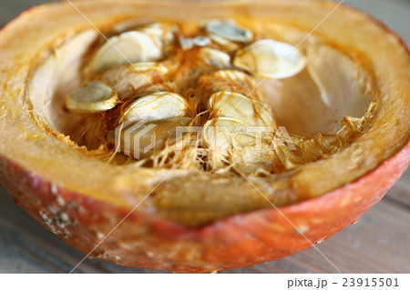 Cut pumpkin - pumpkin seeds 23915501