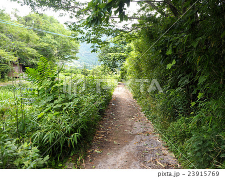 a peaceful walkway in Yufuin a peaceful walkway in Yufuin 23915769