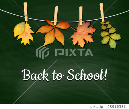 Back to school background Back to school background 23916581