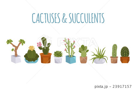 cactuses and succulents icon set houseplantsのイラスト素材