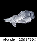 Iron Silver illustration. Shining brush stroke 23917998