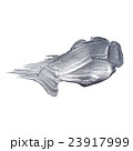 Iron Silver illustration. Shining brush stroke 23917999
