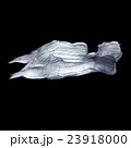 Iron Silver illustration. Shining brush stroke 23918000