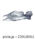 Iron Silver illustration. Shining brush stroke 23918001