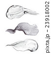 Iron Silver illustration. Shining brush stroke 23918002