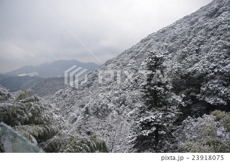 雪山 23918075