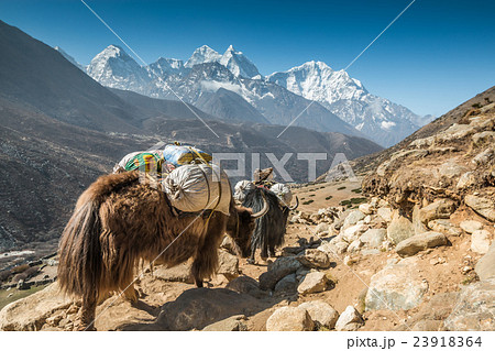 Himalayan mountains in Nepal 23918364