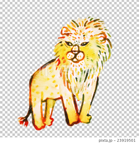 雄獅 23919501