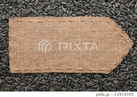 Pointer of burlap lying on a sunflower seeds  23919765