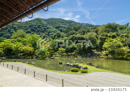 夏の天龍寺 23920175