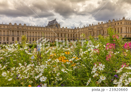 Flowers in Versailles palace garden Flowers in Versailles palace garden 23920660