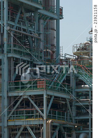 プラント 23921158