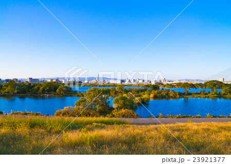 淀川のワンド 23921377