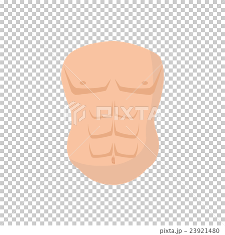 Muscle body Muscle body 23921480