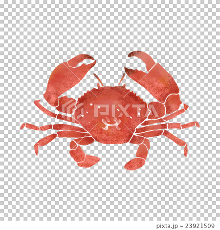 蟹のイラスト素材 [23921509] - PIXTA