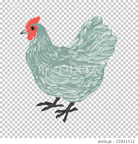 Chicken 23921512