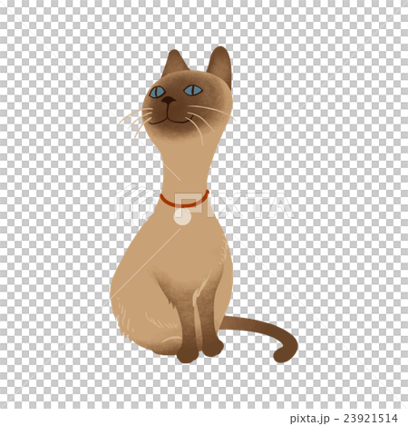 シャム猫のイラスト素材