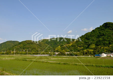 千葉県鋸南町の写真 23921558