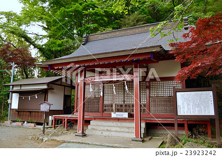 静岡県小山町金時神社の写真 23923242