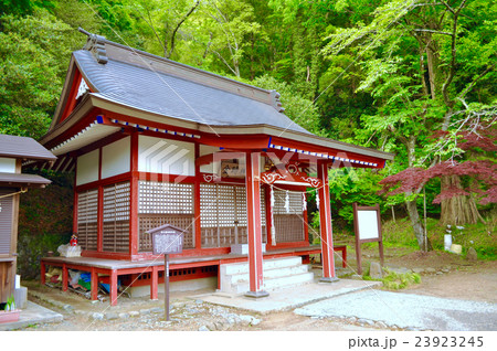 静岡県小山町金時神社の写真 23923245