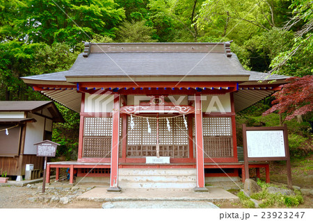 静岡県小山町金時神社の写真 23923247