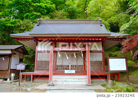 静岡県小山町金時神社の写真 23923248