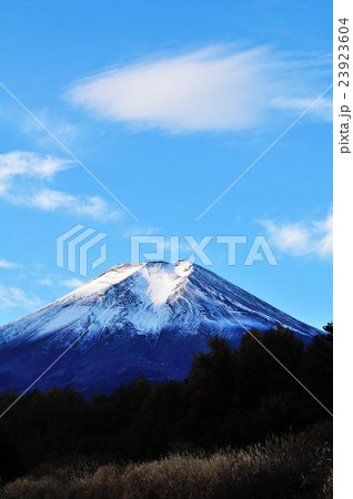 梨ケ原の朝 23923604