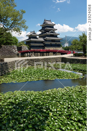 蓮池を前景にした国宝松本城（縦構図）、長野県 23924068
