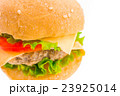 hamburger 23925014
