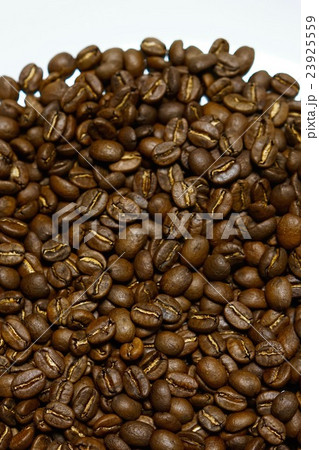 コーヒー豆 白背景 素材 23925559