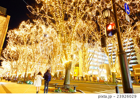 定禅寺通 光のページェント 23926029