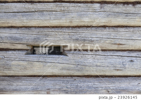 Wooden wall Nice background for wallpaper. 23926145