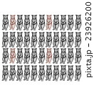 クマ 23926200