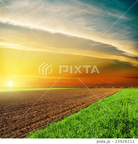 good orange sunset over black and green fields good orange sunset over black and green fields 23926211