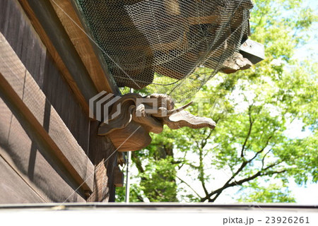 称名寺仁王門の象 称名寺仁王門の象 23926261