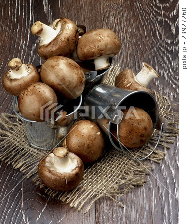 Portabello Mushroom Portabello Mushroom 23927260