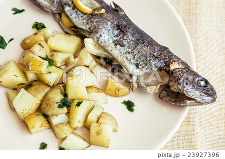 Delicious grilled trout with potatoes Delicious grilled trout with potatoes 23927396