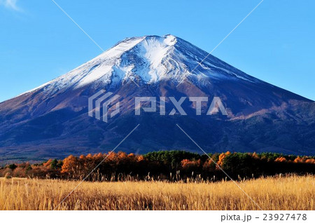 梨ケ原の朝 23927478