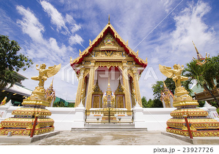 measure Garuda 23927726