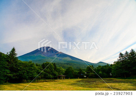 裾野水ヶ塚公園から夏の富士山 23927903