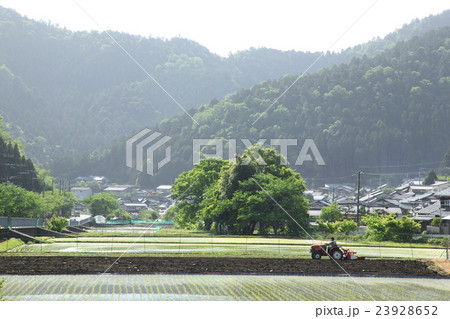 京都洛北静原の里の水田 京都洛北静原の里の水田 23928652