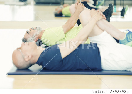 シニア スポーツジム シニア スポーツジム 23928989