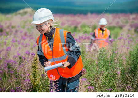 Researching recultivated field 23930214