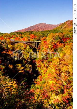【宮城県】鳴子峡の紅葉 【宮城県】鳴子峡の紅葉 23931504