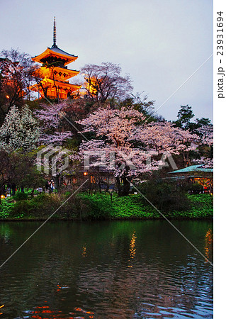 横浜市 三渓園 外苑・大池・旧燈明寺三重塔 (重要文化財) 桜 神奈川県 横浜市 三渓園 外苑・大池・旧燈明寺三重塔 (重要文化財) 桜 神奈川県 23931694