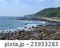 海岸 23933283