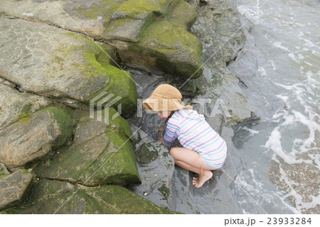 海で遊ぶ女の子 海で遊ぶ女の子 23933284